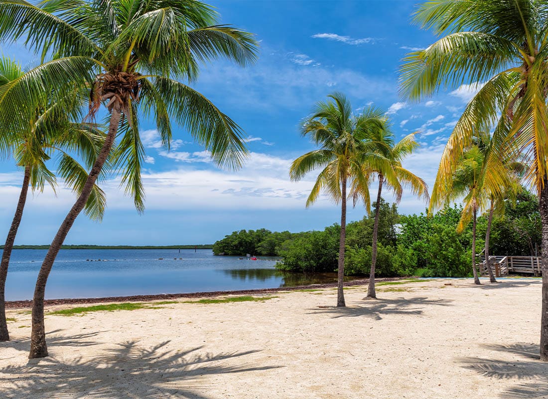 Largo, FL - Sunny Beach With Coco Palms and Tropical Sea in Key Largo Beach, Florida